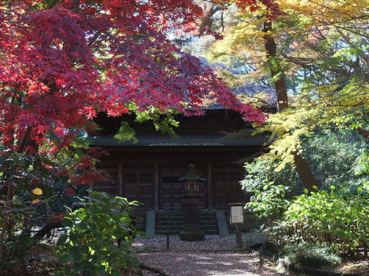 旧東慶寺仏殿と紅葉