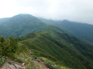 仙ノ倉山への稜線